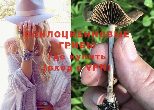 гидропоника Архангельск