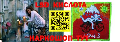 сатива Бузулук