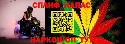 сатива Бузулук