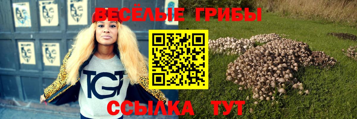Всеволожск  купить наркотики цена  Вход с VPN  Псилоцибиновые грибы прущие грибы 