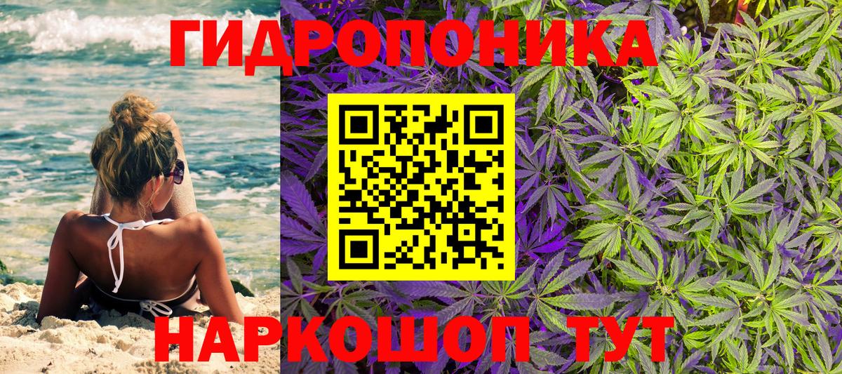 Канабис планчик  Бошки Шишки Amnesia  Вход с VPN  Всеволожск 
